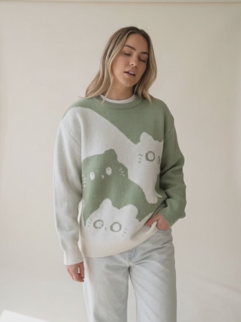 Cartoon Cat Crew Neck Sweater — video