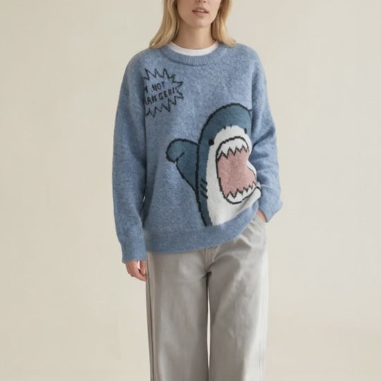 Oversized Shark Knit Turtleneck Sweater — video